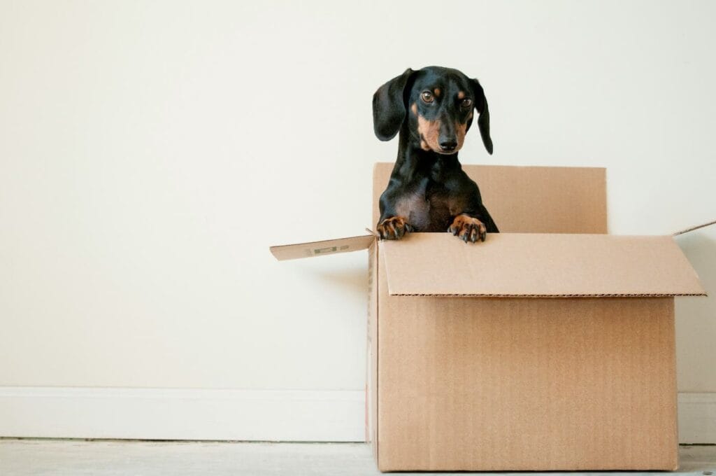 Are you looking for storage rooms for removals in Palma? In this article we explain how to simplify the process. Storage rooms at the Best Price.
