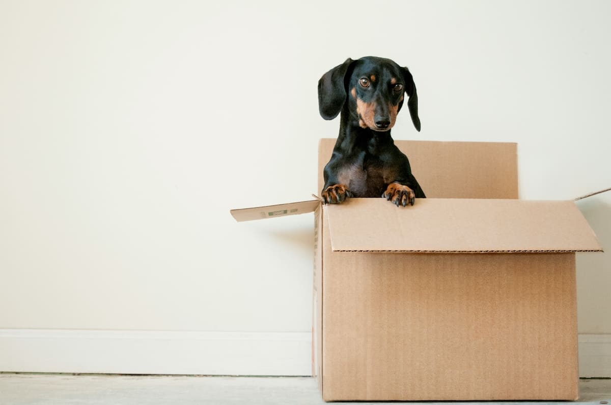 Do you want to know what size storage unit you need to rent in Palma? In this article, we'll tell you.